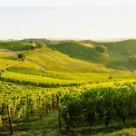 La Casa Delle Langhe 아파트 구아레네